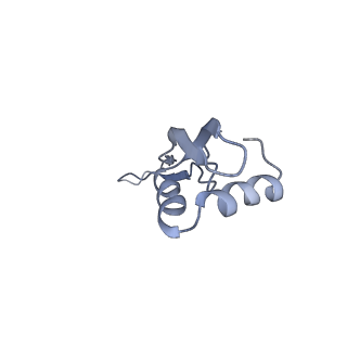 21621_6wd2_x_v1-3
Cryo-EM of elongating ribosome with EF-Tu*GTP elucidates tRNA proofreading (Cognate Structure II-A)