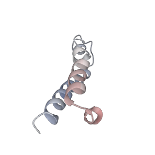 21621_6wd2_y_v1-3
Cryo-EM of elongating ribosome with EF-Tu*GTP elucidates tRNA proofreading (Cognate Structure II-A)