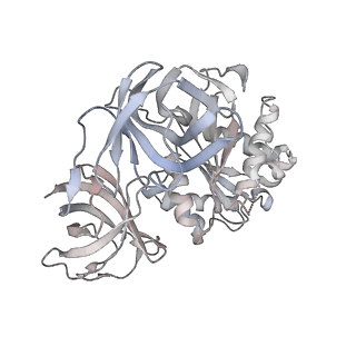 21622_6wd3_8_v1-2
Cryo-EM of elongating ribosome with EF-Tu*GTP elucidates tRNA proofreading (Cognate Structure II-B1)