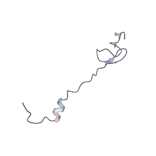 21622_6wd3_B_v1-2
Cryo-EM of elongating ribosome with EF-Tu*GTP elucidates tRNA proofreading (Cognate Structure II-B1)