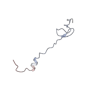 21622_6wd3_B_v1-3
Cryo-EM of elongating ribosome with EF-Tu*GTP elucidates tRNA proofreading (Cognate Structure II-B1)