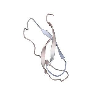 21622_6wd3_C_v1-3
Cryo-EM of elongating ribosome with EF-Tu*GTP elucidates tRNA proofreading (Cognate Structure II-B1)