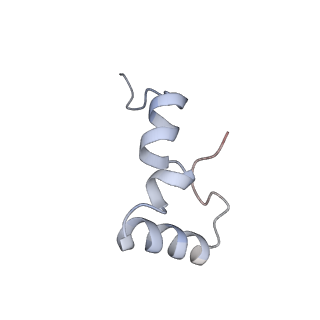 21622_6wd3_D_v1-2
Cryo-EM of elongating ribosome with EF-Tu*GTP elucidates tRNA proofreading (Cognate Structure II-B1)