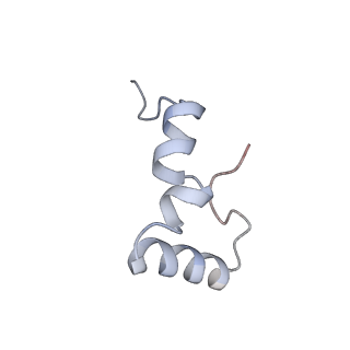 21622_6wd3_D_v1-3
Cryo-EM of elongating ribosome with EF-Tu*GTP elucidates tRNA proofreading (Cognate Structure II-B1)