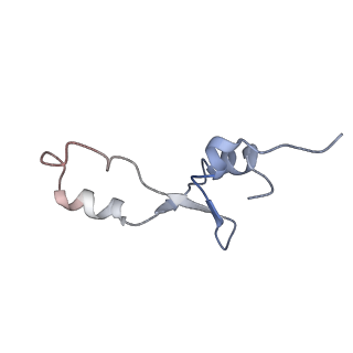 21622_6wd3_E_v1-2
Cryo-EM of elongating ribosome with EF-Tu*GTP elucidates tRNA proofreading (Cognate Structure II-B1)