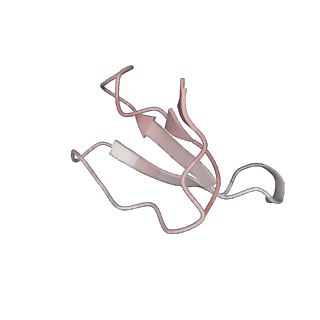 21622_6wd3_F_v1-3
Cryo-EM of elongating ribosome with EF-Tu*GTP elucidates tRNA proofreading (Cognate Structure II-B1)