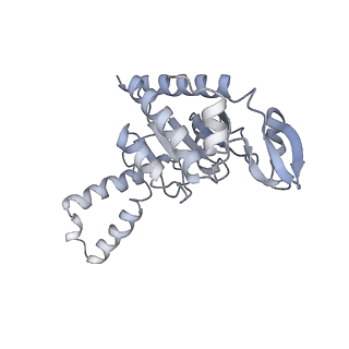 21622_6wd3_G_v1-2
Cryo-EM of elongating ribosome with EF-Tu*GTP elucidates tRNA proofreading (Cognate Structure II-B1)