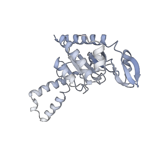 21622_6wd3_G_v1-3
Cryo-EM of elongating ribosome with EF-Tu*GTP elucidates tRNA proofreading (Cognate Structure II-B1)