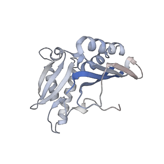 21622_6wd3_H_v1-2
Cryo-EM of elongating ribosome with EF-Tu*GTP elucidates tRNA proofreading (Cognate Structure II-B1)