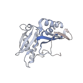 21622_6wd3_H_v1-3
Cryo-EM of elongating ribosome with EF-Tu*GTP elucidates tRNA proofreading (Cognate Structure II-B1)