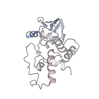 21622_6wd3_I_v1-2
Cryo-EM of elongating ribosome with EF-Tu*GTP elucidates tRNA proofreading (Cognate Structure II-B1)