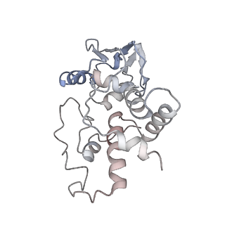 21622_6wd3_I_v1-3
Cryo-EM of elongating ribosome with EF-Tu*GTP elucidates tRNA proofreading (Cognate Structure II-B1)