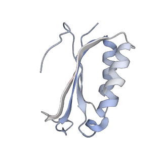 21622_6wd3_K_v1-2
Cryo-EM of elongating ribosome with EF-Tu*GTP elucidates tRNA proofreading (Cognate Structure II-B1)