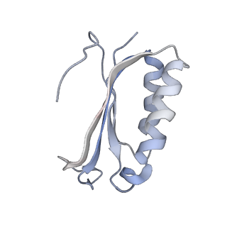 21622_6wd3_K_v1-3
Cryo-EM of elongating ribosome with EF-Tu*GTP elucidates tRNA proofreading (Cognate Structure II-B1)