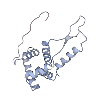 21622_6wd3_L_v1-2
Cryo-EM of elongating ribosome with EF-Tu*GTP elucidates tRNA proofreading (Cognate Structure II-B1)