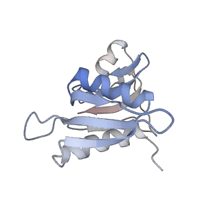 21622_6wd3_M_v1-2
Cryo-EM of elongating ribosome with EF-Tu*GTP elucidates tRNA proofreading (Cognate Structure II-B1)
