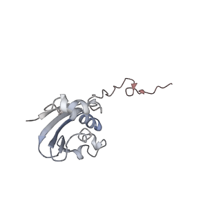 21622_6wd3_N_v1-2
Cryo-EM of elongating ribosome with EF-Tu*GTP elucidates tRNA proofreading (Cognate Structure II-B1)