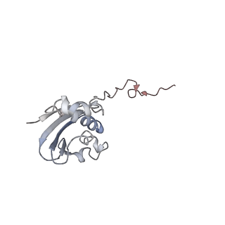 21622_6wd3_N_v1-3
Cryo-EM of elongating ribosome with EF-Tu*GTP elucidates tRNA proofreading (Cognate Structure II-B1)