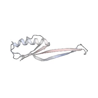 21622_6wd3_O_v1-3
Cryo-EM of elongating ribosome with EF-Tu*GTP elucidates tRNA proofreading (Cognate Structure II-B1)