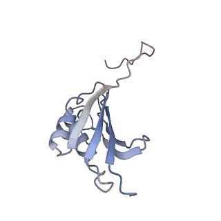 21622_6wd3_P_v1-2
Cryo-EM of elongating ribosome with EF-Tu*GTP elucidates tRNA proofreading (Cognate Structure II-B1)