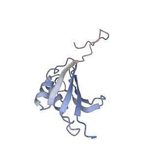 21622_6wd3_P_v1-3
Cryo-EM of elongating ribosome with EF-Tu*GTP elucidates tRNA proofreading (Cognate Structure II-B1)