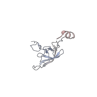 21622_6wd3_Q_v1-2
Cryo-EM of elongating ribosome with EF-Tu*GTP elucidates tRNA proofreading (Cognate Structure II-B1)