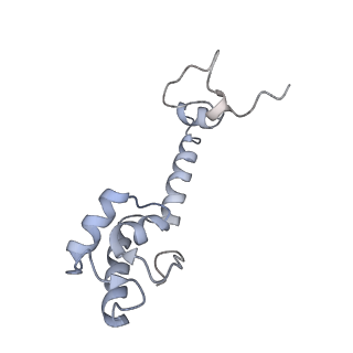 21622_6wd3_R_v1-2
Cryo-EM of elongating ribosome with EF-Tu*GTP elucidates tRNA proofreading (Cognate Structure II-B1)