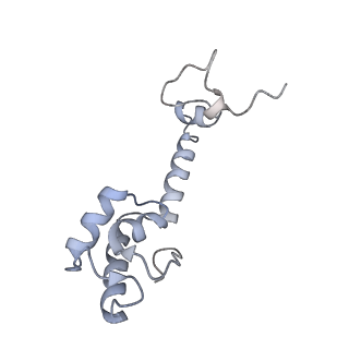 21622_6wd3_R_v1-3
Cryo-EM of elongating ribosome with EF-Tu*GTP elucidates tRNA proofreading (Cognate Structure II-B1)