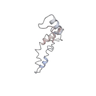 21622_6wd3_S_v1-2
Cryo-EM of elongating ribosome with EF-Tu*GTP elucidates tRNA proofreading (Cognate Structure II-B1)