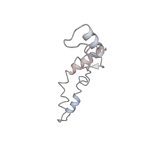 21622_6wd3_S_v1-3
Cryo-EM of elongating ribosome with EF-Tu*GTP elucidates tRNA proofreading (Cognate Structure II-B1)