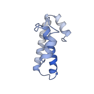21622_6wd3_T_v1-2
Cryo-EM of elongating ribosome with EF-Tu*GTP elucidates tRNA proofreading (Cognate Structure II-B1)