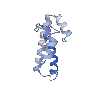 21622_6wd3_T_v1-3
Cryo-EM of elongating ribosome with EF-Tu*GTP elucidates tRNA proofreading (Cognate Structure II-B1)