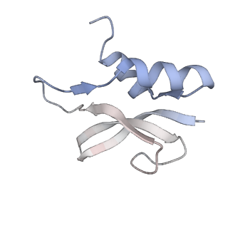 21622_6wd3_U_v1-2
Cryo-EM of elongating ribosome with EF-Tu*GTP elucidates tRNA proofreading (Cognate Structure II-B1)