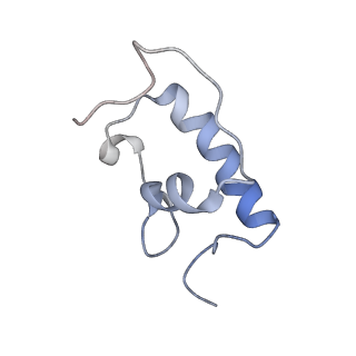 21622_6wd3_W_v1-3
Cryo-EM of elongating ribosome with EF-Tu*GTP elucidates tRNA proofreading (Cognate Structure II-B1)