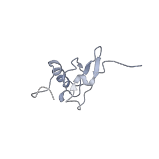 21622_6wd3_X_v1-2
Cryo-EM of elongating ribosome with EF-Tu*GTP elucidates tRNA proofreading (Cognate Structure II-B1)