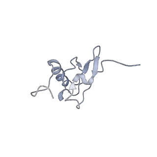 21622_6wd3_X_v1-3
Cryo-EM of elongating ribosome with EF-Tu*GTP elucidates tRNA proofreading (Cognate Structure II-B1)