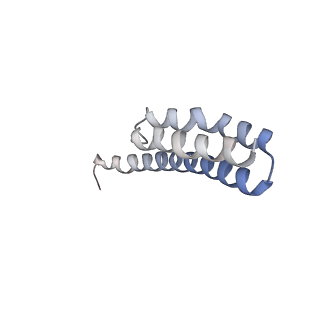 21622_6wd3_Y_v1-3
Cryo-EM of elongating ribosome with EF-Tu*GTP elucidates tRNA proofreading (Cognate Structure II-B1)