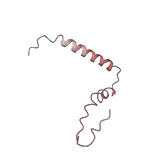 21622_6wd3_Z_v1-2
Cryo-EM of elongating ribosome with EF-Tu*GTP elucidates tRNA proofreading (Cognate Structure II-B1)