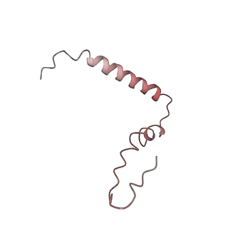 21622_6wd3_Z_v1-3
Cryo-EM of elongating ribosome with EF-Tu*GTP elucidates tRNA proofreading (Cognate Structure II-B1)