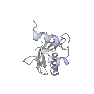 21622_6wd3_a_v1-2
Cryo-EM of elongating ribosome with EF-Tu*GTP elucidates tRNA proofreading (Cognate Structure II-B1)