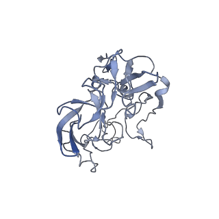 21622_6wd3_b_v1-2
Cryo-EM of elongating ribosome with EF-Tu*GTP elucidates tRNA proofreading (Cognate Structure II-B1)