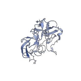 21622_6wd3_b_v1-3
Cryo-EM of elongating ribosome with EF-Tu*GTP elucidates tRNA proofreading (Cognate Structure II-B1)