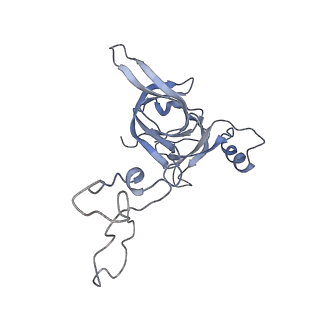 21622_6wd3_c_v1-2
Cryo-EM of elongating ribosome with EF-Tu*GTP elucidates tRNA proofreading (Cognate Structure II-B1)