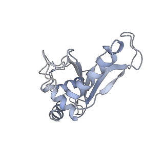 21622_6wd3_e_v1-2
Cryo-EM of elongating ribosome with EF-Tu*GTP elucidates tRNA proofreading (Cognate Structure II-B1)
