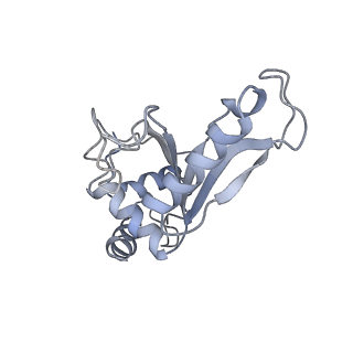 21622_6wd3_e_v1-3
Cryo-EM of elongating ribosome with EF-Tu*GTP elucidates tRNA proofreading (Cognate Structure II-B1)