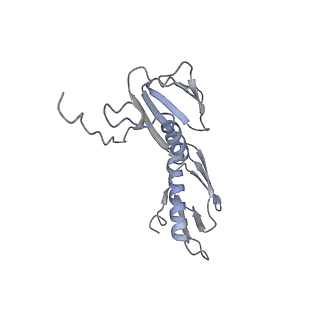 21622_6wd3_f_v1-2
Cryo-EM of elongating ribosome with EF-Tu*GTP elucidates tRNA proofreading (Cognate Structure II-B1)