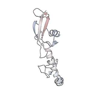 21622_6wd3_g_v1-2
Cryo-EM of elongating ribosome with EF-Tu*GTP elucidates tRNA proofreading (Cognate Structure II-B1)