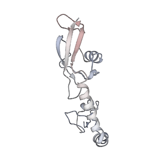 21622_6wd3_g_v1-3
Cryo-EM of elongating ribosome with EF-Tu*GTP elucidates tRNA proofreading (Cognate Structure II-B1)