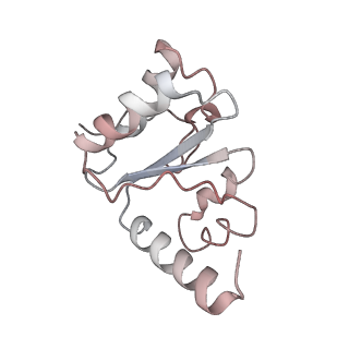 21622_6wd3_h_v1-2
Cryo-EM of elongating ribosome with EF-Tu*GTP elucidates tRNA proofreading (Cognate Structure II-B1)