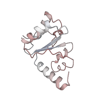 21622_6wd3_h_v1-3
Cryo-EM of elongating ribosome with EF-Tu*GTP elucidates tRNA proofreading (Cognate Structure II-B1)